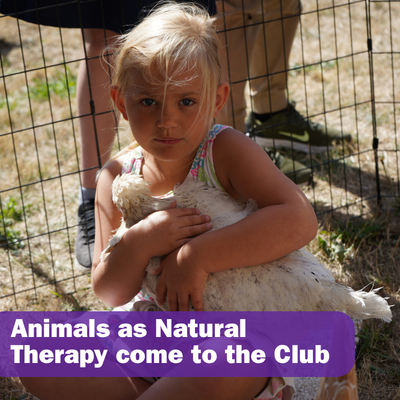 7 Animals as Natural Therapy come to the Club